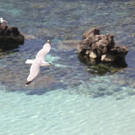 Cupola Bianca Hotel *